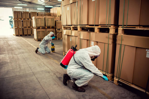 Best Mosquito Control Services  in Nth Bend, OR