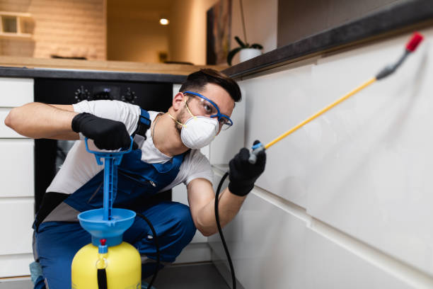 Best Cockroach Control Services  in Nth Bend, OR