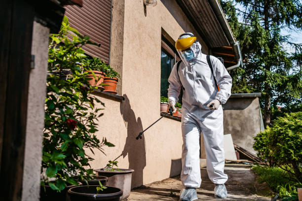Best Wasp Removal Services  in Nth Bend, OR