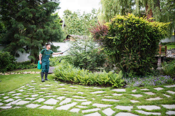 Pest Prevention Services in North Bend, OR