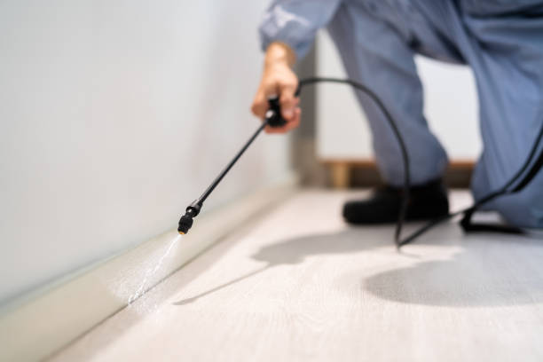 Best Best Pest Control Companies  in Nth Bend, OR