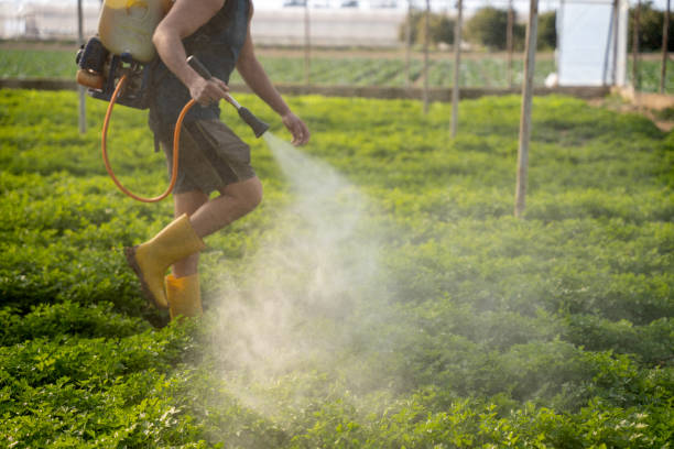 Best Residential Pest Control  in Nth Bend, OR