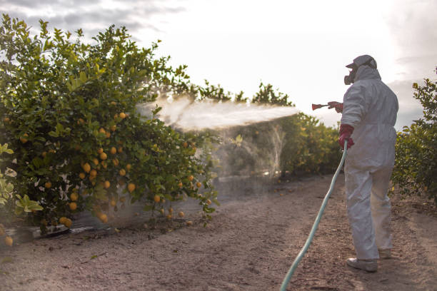 Best Pest Removal Services  in Nth Bend, OR