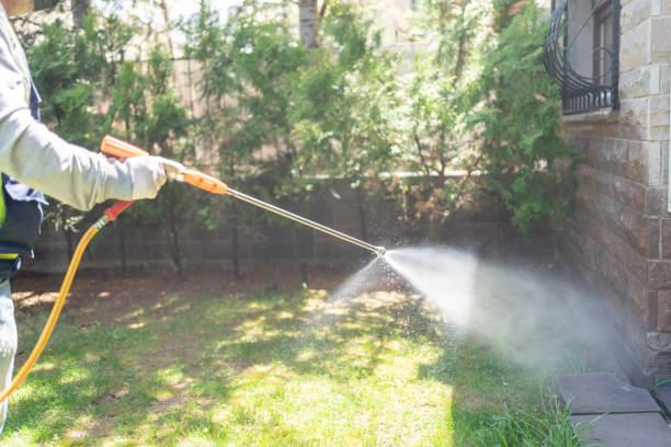 Best Pest Control Near Me  in Nth Bend, OR