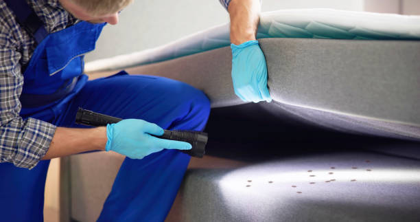 Best Pest Inspection Near Me  in Nth Bend, OR