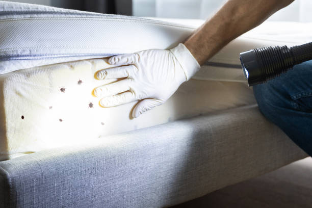 Reliable North Bend, OR Pest Control Solutions
