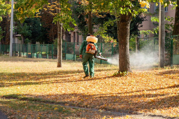Best Mosquito Control Services  in Nth Bend, OR