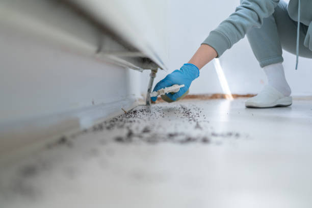 Best Insect Control  in Nth Bend, OR